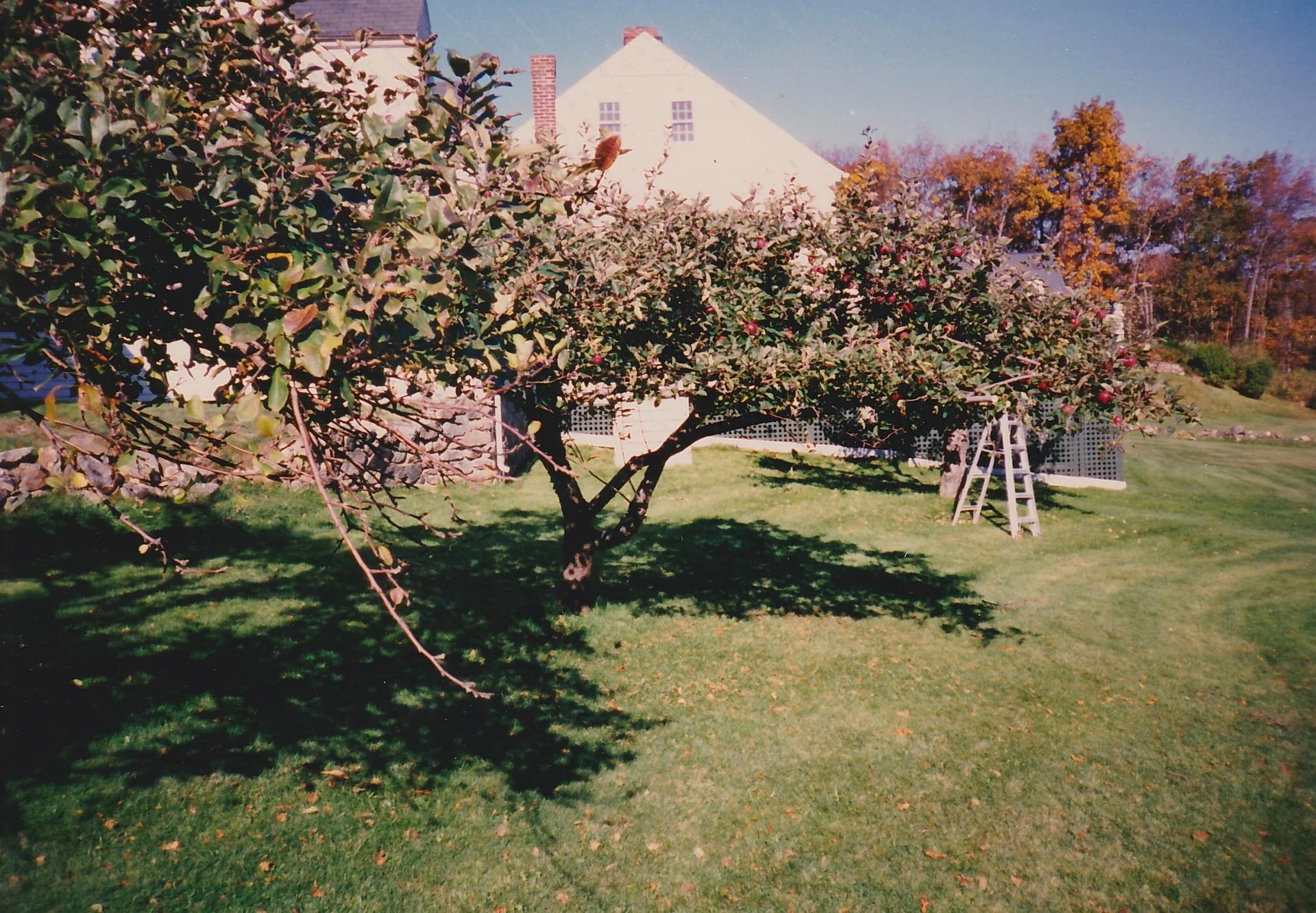 Close-up Architecture
